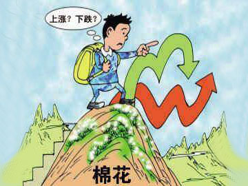 紡企先別高興：拋儲時(shí)間延長(cháng),棉價(jià)仍可能上漲
